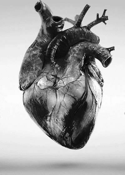 Beating Heart GIF - Find & Share on GIPHY | Anatomical heart art ...