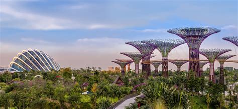 Gardens by the Bay | Grant Associates