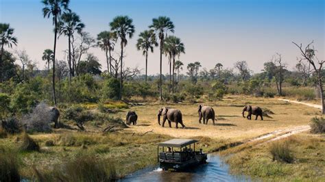 Beautiful Botswana – Home To Landscapes Like No Other - Southern Africa 360