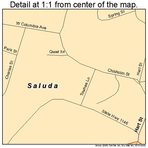 Saluda North Carolina Street Map 3758920