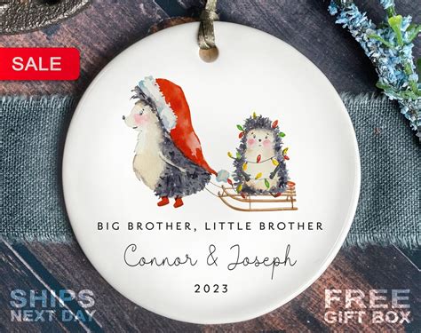 Big Brother Little Brother Christmas Ornament Personalized Sibling First Christmas Hedgehog ...