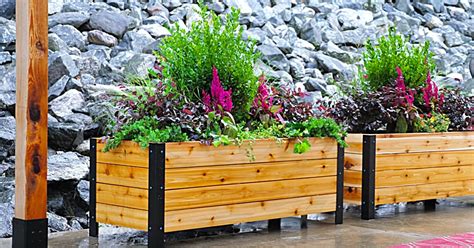 DIY Modern Raised Planter Box