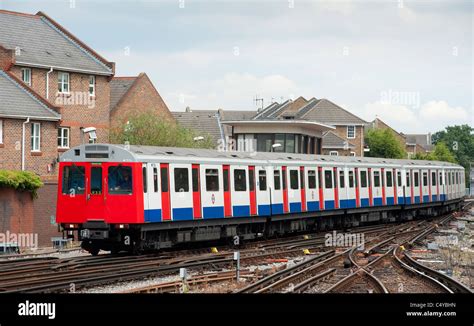 absorption half Innocence london tube district line mosquito About ...