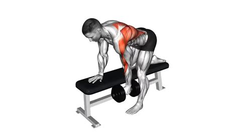 One Arm Bent-over Row - Video Guide | Lyfta