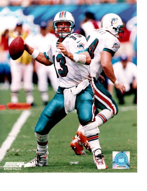 Top Miami Dolphins Quarterbacks Of All Time Sports, 43% OFF