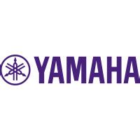 User manual Yamaha R-S202 (English - 118 pages)