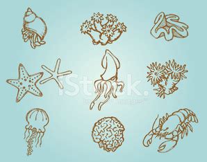 Sea Life Sketch Stock Vector | Royalty-Free | FreeImages