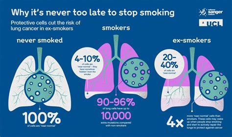 'Exciting' Study Shows How Quitting Smoking Can 'Magically' Heal Damaged Lungs - EcoWatch