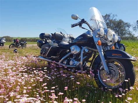 MIDWEST MOTORCYCLE TRIPS AND TOURS (Geraldton): All You Need to Know