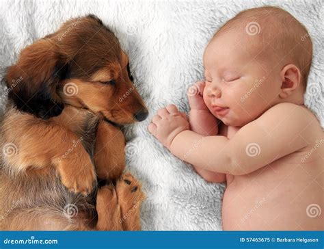 Sleeping Baby And Puppy Stock Photo - Image: 57463675