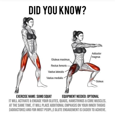 Workout Tips Sumo squat benefits... | Sumo squats, Benefits of squats, Soleus exercises