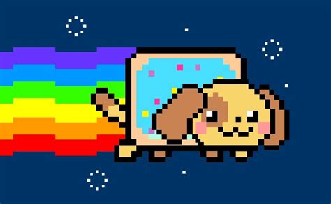 Nyan Dog by EmberwoodForest on DeviantArt