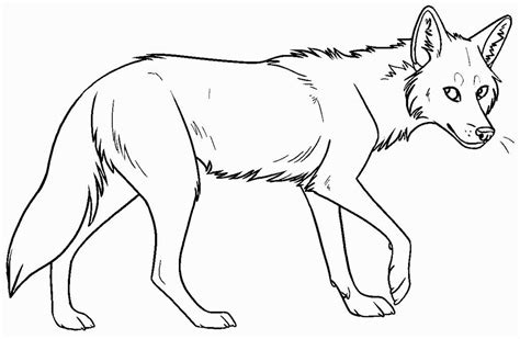 Coyote Coloring Pages | Coyote, Coyote drawing, Line drawing