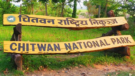 Chitwan Jungle Safari Tour | Chitwan National Park jungle Safari Package | Musafircab