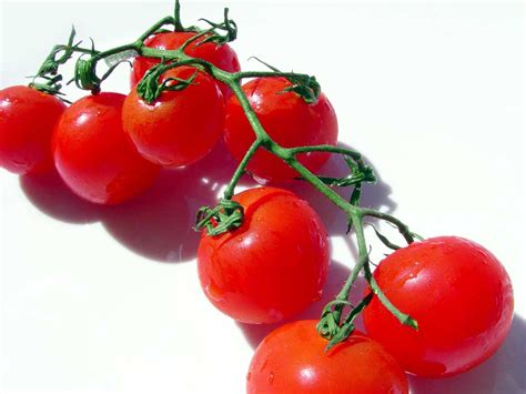 GardenSeed: Large Red Cherry Tomato