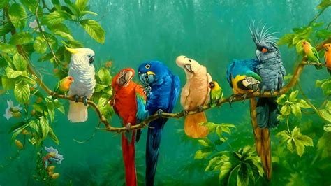 HD wallpaper: Parrot Colorful Birds On Branch Red Yellow Blue White ...