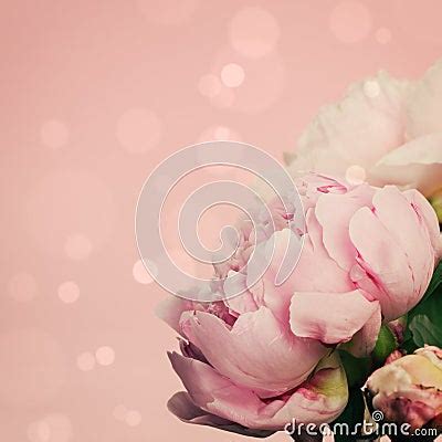 Pink Peonies On Pastel Background Stock Photos - Image: 32015623