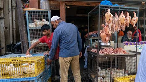 Navaratri | Delhi: Meat shops near temples likely to remain closed during Navratra - Telegraph India