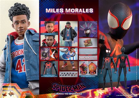 [Preorder] Miles Morales (Spider-Man: Across the Spider-Verse) (Hot To ...