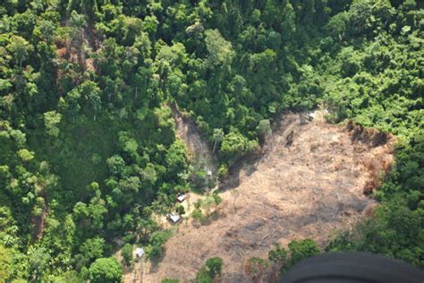 Deforestation Philippine Clearing House Mechanism