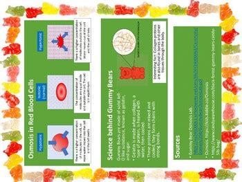 Gummy Bear (Osmosis & Solutions Lab) by Andrea Bonde | TpT