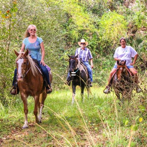 Visit Wagon Wheel Horse Farm In Florida For Horse Trail Rides