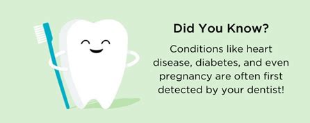 Make the Most of Your Dental Benefits | Delta Dental Of Washington