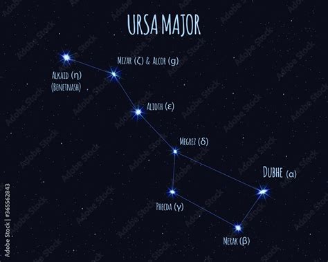 Ursa Major (Great Bear, Big Dipper) constellation, vector illustration ...