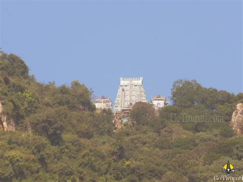 Tirumala Hills﻿ - GOtirupati.com