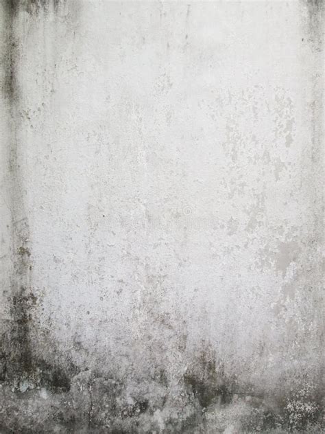 Dirty White Wall Stock Photo - Image: 59542842