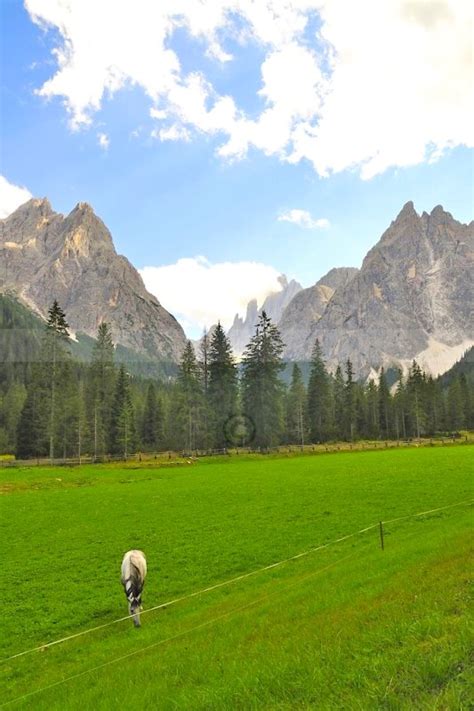 Elevation of Auronzo di Cadore BL, Italy - Topographic Map - Altitude Map