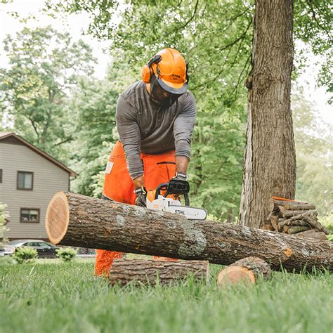 MSA 220 C-B | Chainsaws | STIHL USA