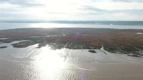 New Humber Estuary island becomes nature reserve - BBC News