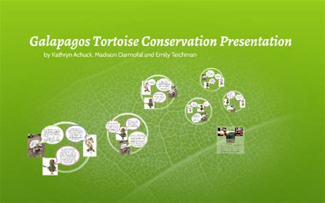 Galapagos Tortoise Conservation by Madison Darmofal