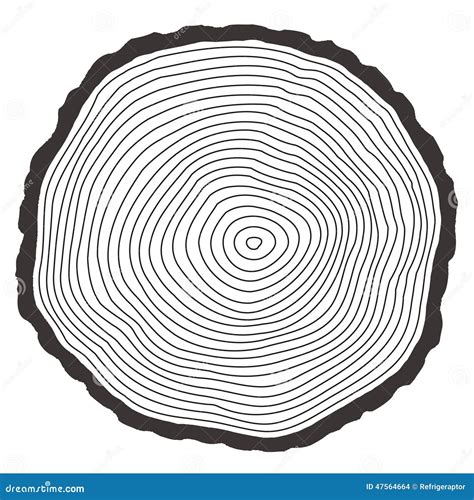 Vector Tree Rings Stock Vector - Image: 47564664