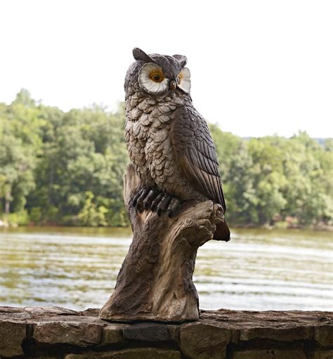 Garden Owl Statue: Find the Best Lawn Décor at Sears