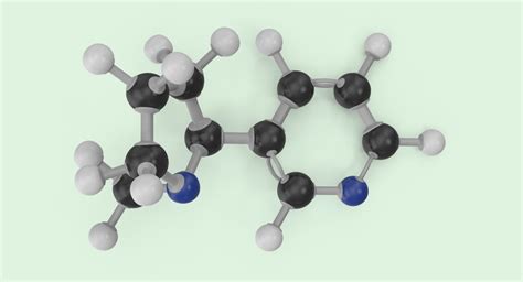 3d nicotine molecule model