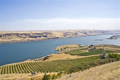 Columbia Valley Wine Region: What To Know