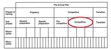 Components Of Periodization Training