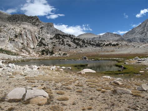 Yellow-legged Frog Habitat in Yosemite » Amphibian Care