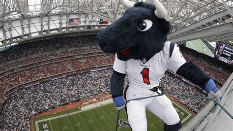 It's Toro's birthday! Help celebrate the Texans' mascot birthday this ...