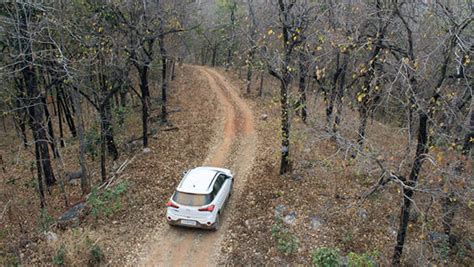 Exploring the forests of Chhatisgarh - Overdrive