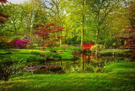 Japanese garden in spring | Stock image | Colourbox