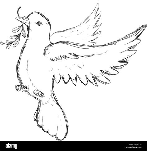 Dove the bird of peace Stock Vector Image & Art - Alamy