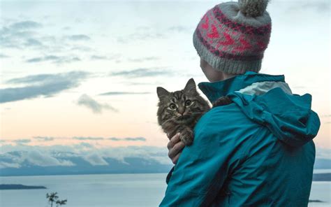 Tips For Traveling with a Cat (Plus Adorable Kitty Pics) | Travel + Leisure