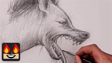 How To Draw a Hyena | Pencil Drawing Lesson - YouTube