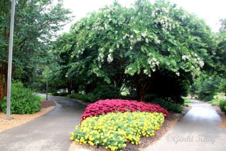 Huntsville, Alabama Botanical Gardens | Genki Kitty's Blog