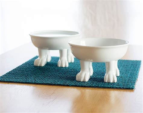 Large Elevated Dog Bowl Ceramic Explorers by DylanKendallHome