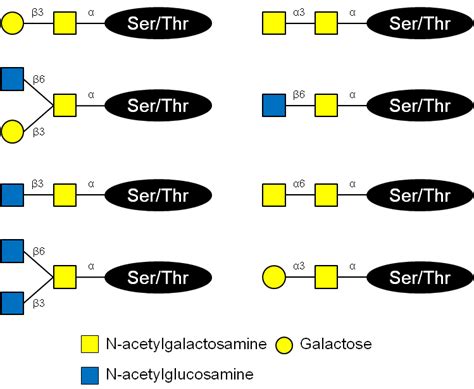 Structural Biology of Glycoproteins | IntechOpen