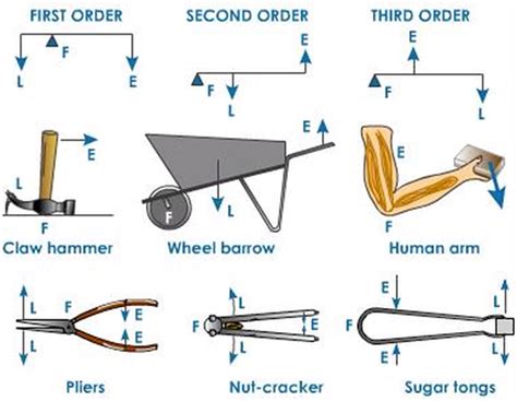 Sympathetic Vibratory Physics | Fulcrum